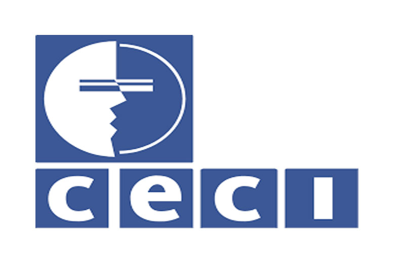 AVIS DE RECRUTEMENT DE DEUX VOLONTAIRES NATIONAUX (NASS)