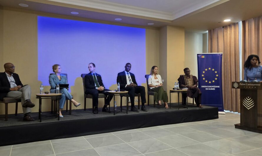 La Chambre de commerce européenne en Guinée mobilise les acteurs autour de la responsabilité sociale et environnementale des entreprises