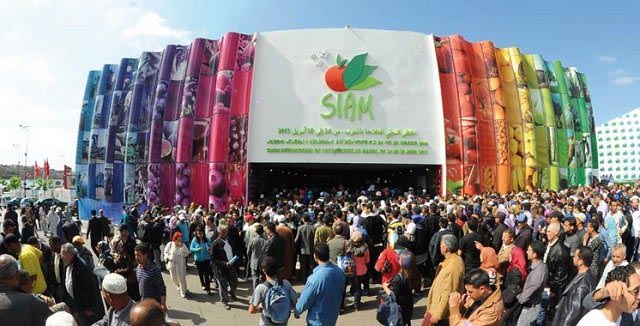 Le Salon International de l’Agriculture au Maroc : Durabilité, Innovation et Souveraineté Alimentaire