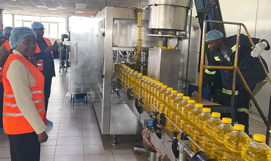 La BAD s’engage à investir jusqu’à 15 millions de dollars dans le Fonds pour soutenir les entreprises à forte croissance en Afrique