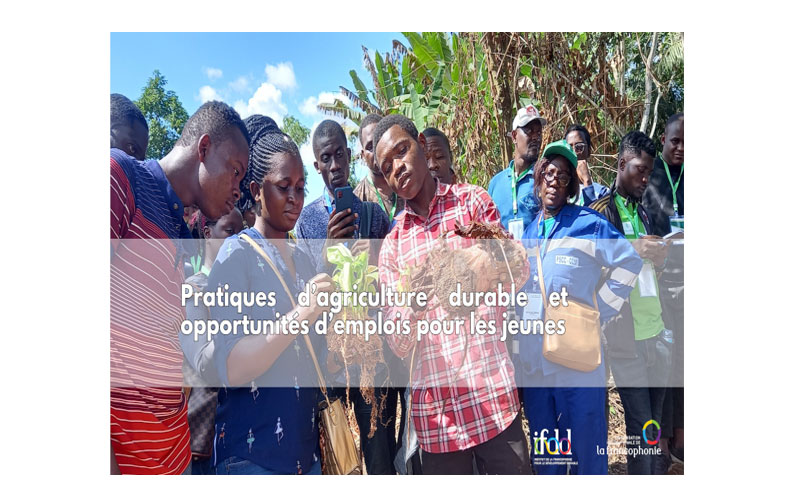 Pratiques d’agriculture durable et opportunités d’emplois pour les jeunes