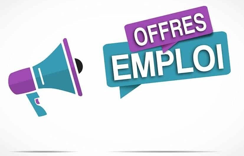 Togo : Recrutement d&rsquo;un (e) Directeur (trice), Agence Nationale de l’Innovation